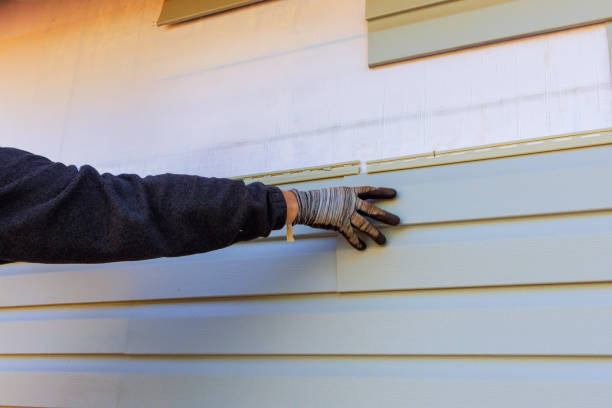 Best Fascia and Soffit Installation  in Quincy, IL